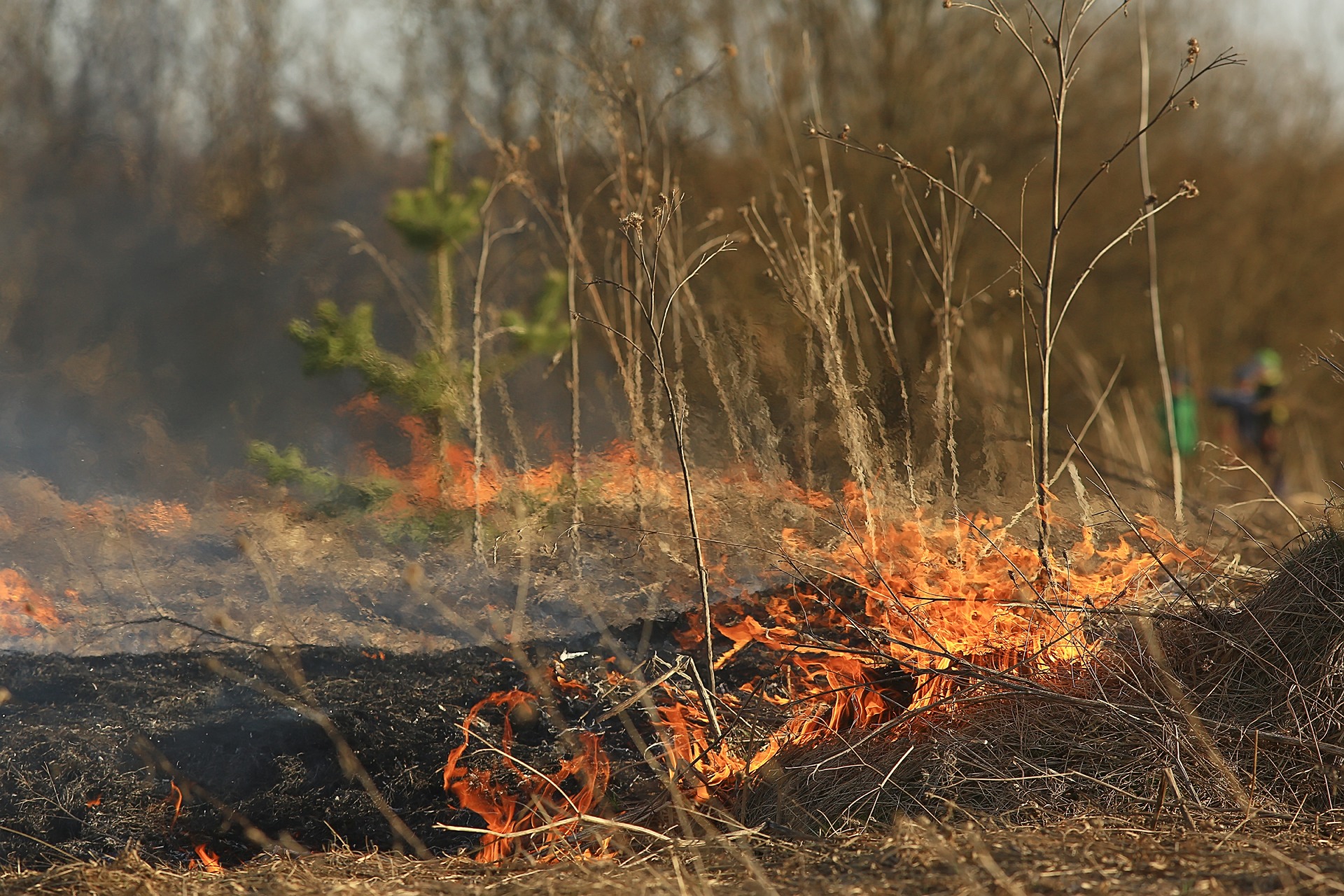 fire-field-fire-dry-grass-burning-straw-element-nature-landscape-wind (1)