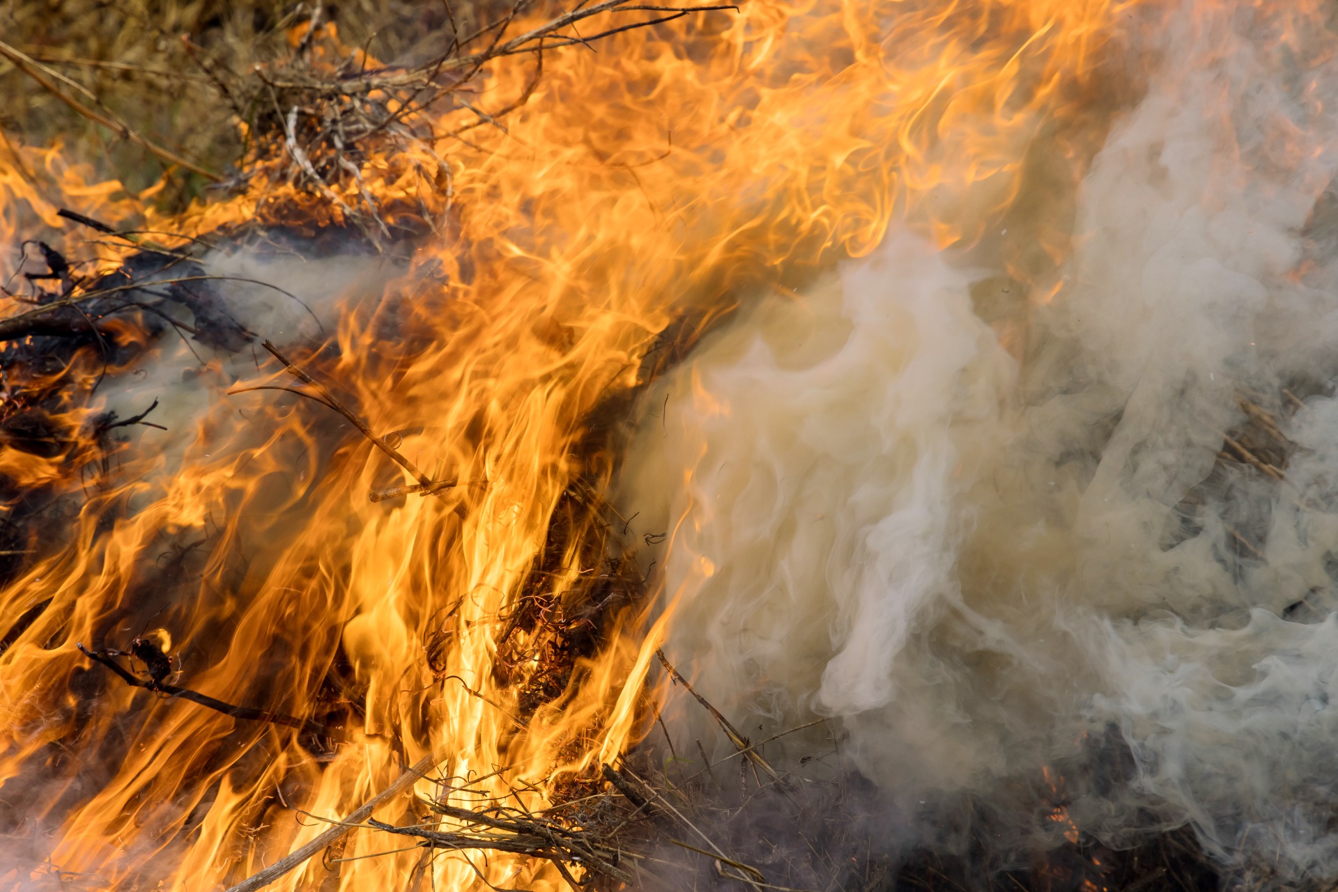 nature-danger-disaster-with-burning-meadow-field-wild-open-fire-destroys-grass-field-air-pollution (1)