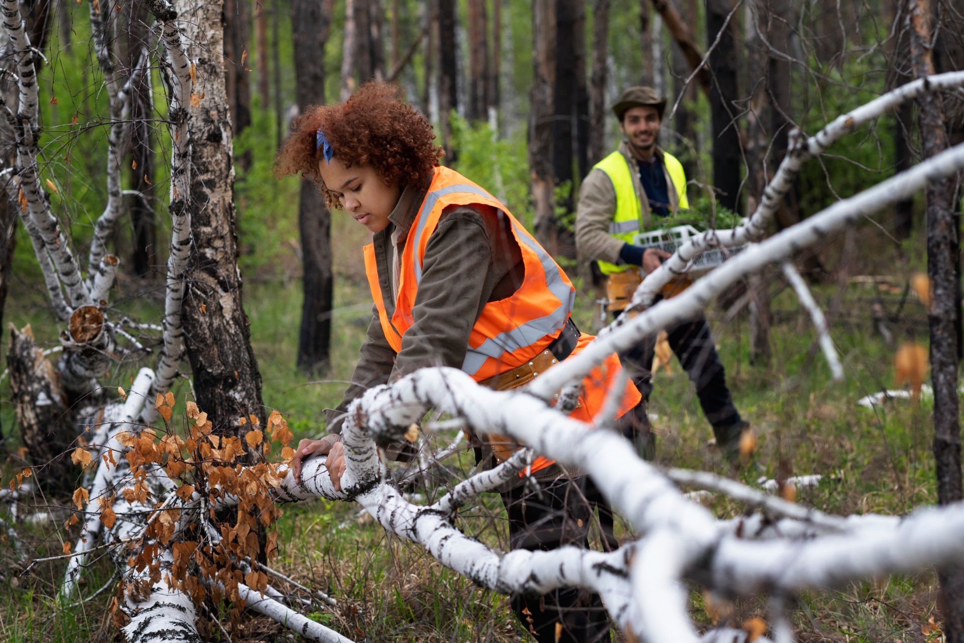 reforestation-done-by-voluntary-group (1)